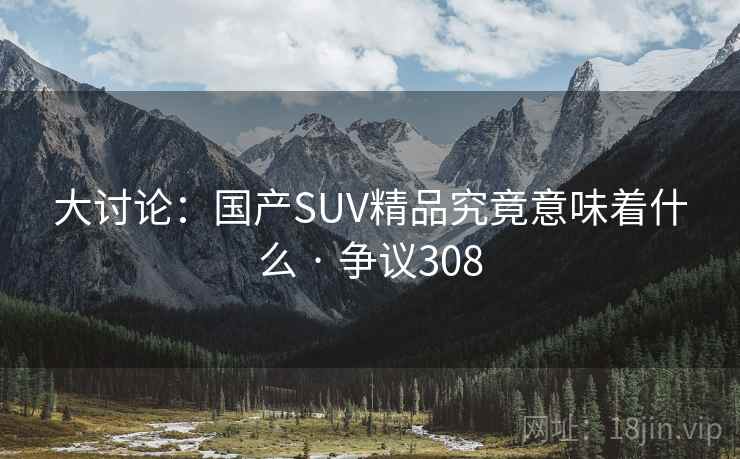 大讨论：国产SUV精品究竟意味着什么 · 争议308